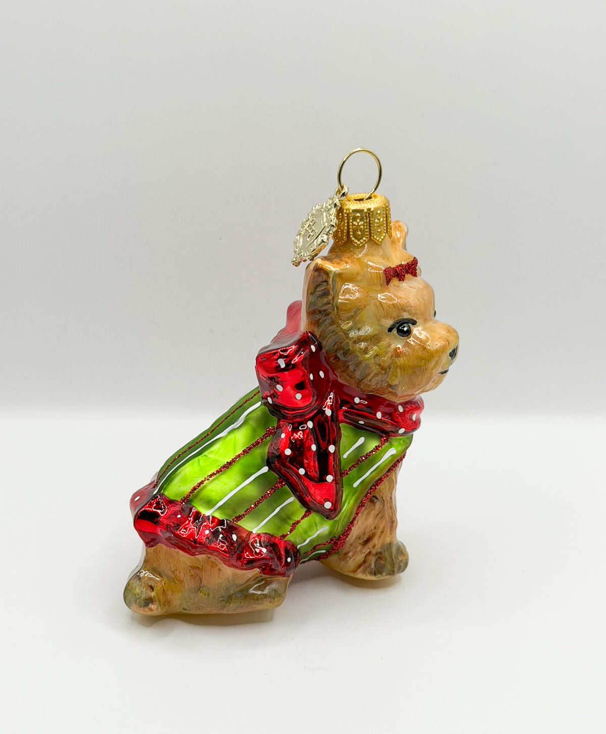 Yorkshire Terrier Hund