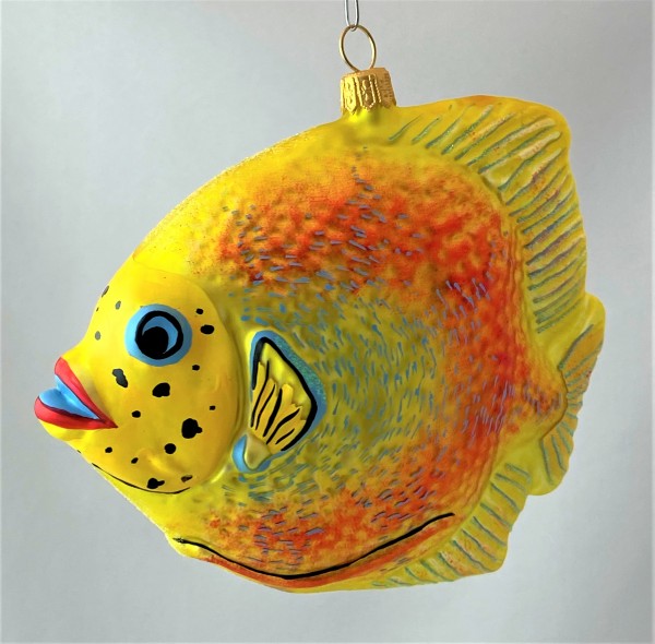 Grosser gelb oranger Riff-Fisch