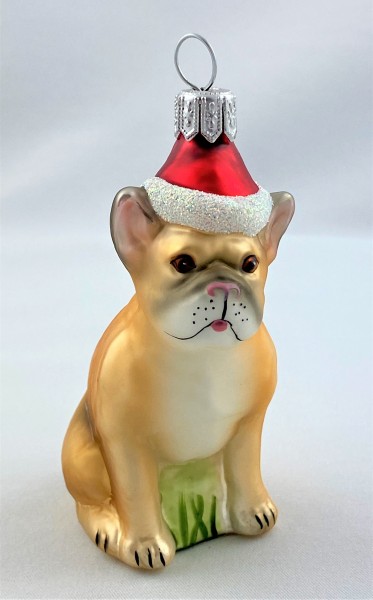 Französische Bulldogge mit Weihnachtsmütze