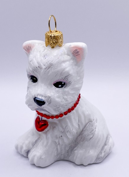 Weisser West Highland-Terrier-Hund mit rotem Herzchen-Halsband, KOMOZJA MOSTOWSKI