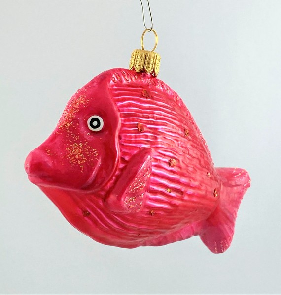 Glänzend pinkfarbener Riff-Fisch