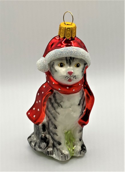 Graue Tiger-Katze mit rotem Schal und Mütze