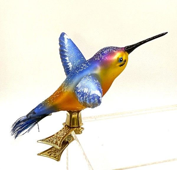 Kolibri mit hellblauen Flügen, auf Clip