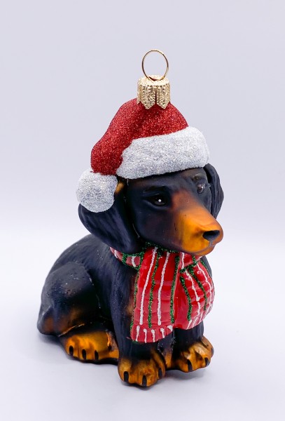 Schwarzer Dackel mit Schal und Weihnachtsmütze, Dachshund