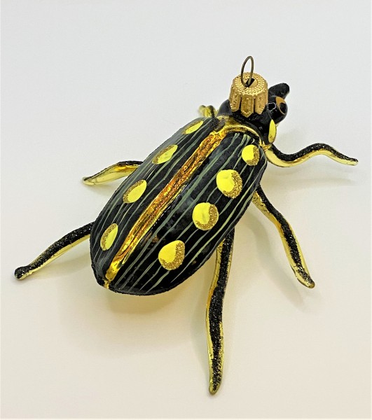 Käfer schwarz mit gelben Punkten