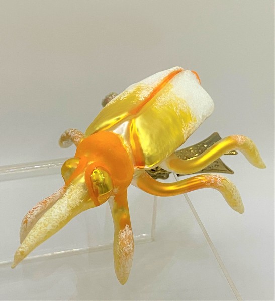 Käfer gelb orange auf Clip
