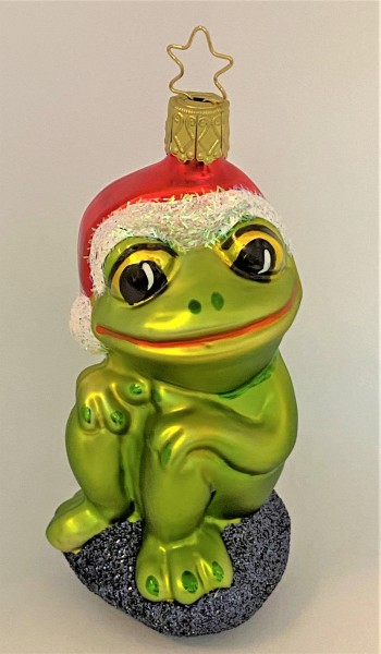 Frosch freut sich auf Weihnachten