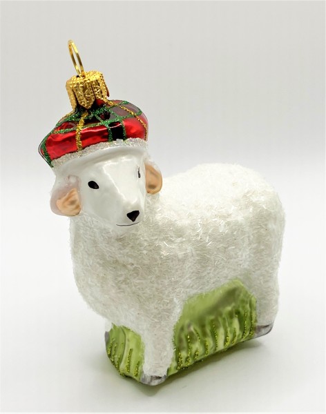 Weisses Schaf mit karierter Mütze