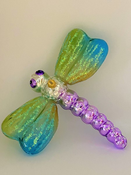 Türkis und lilafarbene Libelle mit transparenten Flügeln