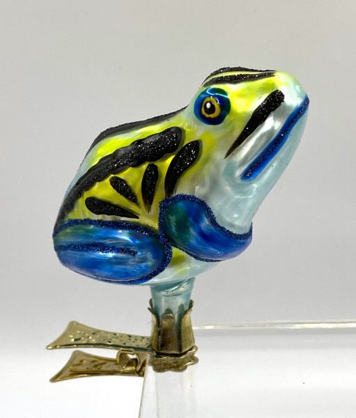 Regenwald - Frosch mit blauen Beinen