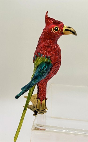Roter Ara / Papagei mit grüner Schwanzfeder auf Clip