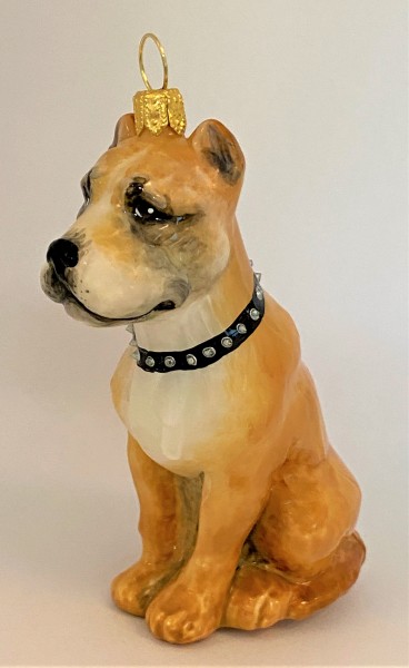 Brauner American Staffordshire Terrier, KOMOZJA MOSTOWSKI