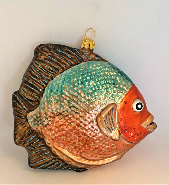 Grosser Riff-Fisch mit rotem Kopf