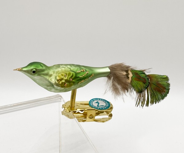 Kleiner olivgrüner Vogel