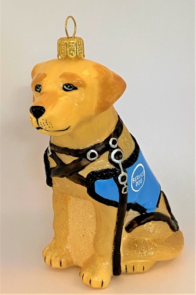 Golden Retriever Blindenhund