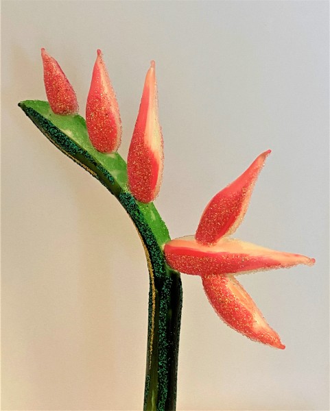 Strelitzie, Papageien-Blume auf Clip