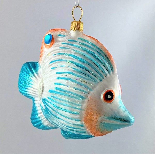 Doktorfisch mit hellblauen Streifen