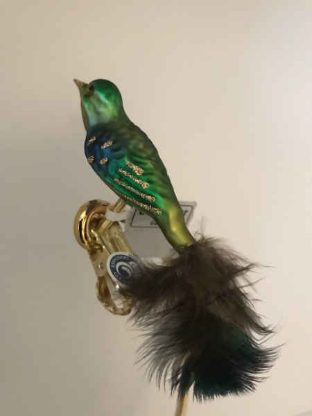 Kleiner blau grüner Vogel