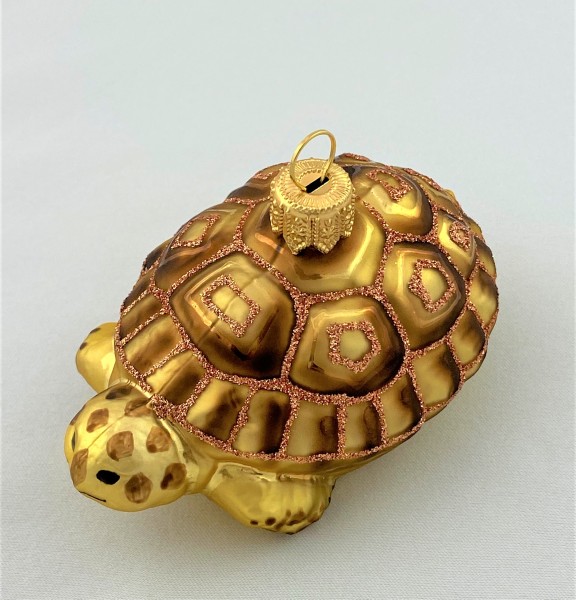 Schildkröte mit braunem Panzer